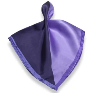 ANPKTSQ4-1-1A-Purple | Silk Pocket Squares