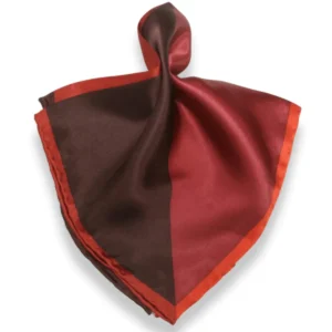 ANPKTSQ4-1-3A-Red | Silk Pocket Square