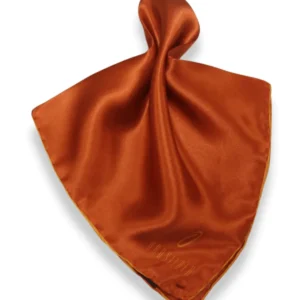 ANPKTSQ-2 | Orange Orange | Silk Pocket Square