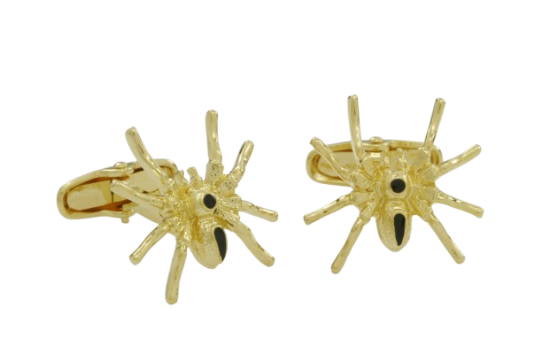 MG_0236-1536x1024__1_-removebg-preview